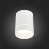 Накладной светильник ST Luce ST115 ST115.542.12 ST115.542.12 - 5