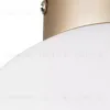 Потолочный светильник Lightstar Globo 812023 812023 - 3