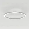 Подвесной светильник Arlight SP-Line-Hang-Arc-O3535-D800-65W Day4000 034008(1) 034008(1) - 1