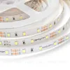 Светодиодная лента Apeyron 12В СТ 4,8Вт/м smd3528, 60д/м IP20 280Лм/м 5м 6500К 00-02 00-02 - 4