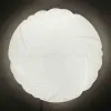 Настенно-потолочный светильник Apeyron 18-025 18-025 - 2