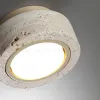 Потолочный светильник Odeon Light Hightech Travertino 6625/1C 6625/1C - 4