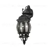Уличный настенный светильник Favourite Paris 1807-1W 1807-1W - 2
