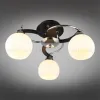 Потолочная люстра Omnilux Caldiero OML-25407-03 OML-25407-03 - 3