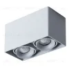 Потолочный светильник Arte Lamp Pictor A5654PL-2GY A5654PL-2GY - 1