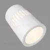 Накладной светильник Elektrostandard DLS026 7W 4200К белый 4690389148460 - 7