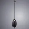 Подвесной светодиодный светильник Arte Lamp Cody A7769SP-1BC A7769SP-1BC - 6