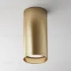 Потолочный светильник Maytoni Focus C010CL-01MG C010CL-01MG - 2