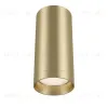 Потолочный светильник Maytoni Focus C010CL-01MG C010CL-01MG - 3