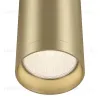 Потолочный светильник Maytoni Focus C010CL-01MG C010CL-01MG - 5