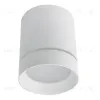 Накладной светильник Arte Lamp Elle A1949PL-1WH A1949PL-1WH - 1