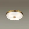 Настенно-потолочный светильник Odeon Light Pelow 4956/4 4956/4 - 3