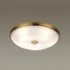 Настенно-потолочный светильник Odeon Light Pelow 4956/5 4956/5 - 3