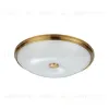 Настенно-потолочный светильник Odeon Light Pelow 4956/5 4956/5 - 1