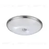Настенно-потолочный светильник Odeon Light Pelow 4957/5 4957/5 - 1