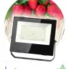 Фитопрожектор для растений ЭРА FITO-100W-Ra90-LED Б0047876 Б0047876 - 2