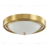 Настенно-потолочный светильник Lumion Vintage 5259/2C 5259/2C - 1