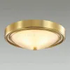 Настенно-потолочный светильник Lumion Vintage 5259/2C 5259/2C - 3