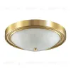 Настенно-потолочный светильник Lumion Vintage 5259/3C 5259/3C - 1