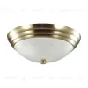 Настенно-потолочный светильник Lumion Vintage 5262/2C 5262/2C - 1