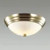 Настенно-потолочный светильник Lumion Vintage 5262/2C 5262/2C - 3
