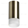 Накладной светильник Lightstar Rullo R43131 (214431+202431) R43131 - 2