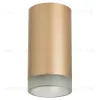 Накладной светильник Lightstar Rullo R44030 (214440+202430) R44030 - 1