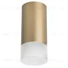 Накладной светильник Lightstar Rullo R44031 (214440+202431) R44031 - 1