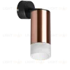 Встраиваемый спот Lightstar Rullo RB43031 (214430+590007+202431) RB43031 - 2