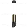 Подвесной светильник Lightstar Rullo RP43137 (214431+590057+201437) RP43137 - 1