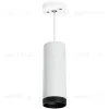 Подвесной светильник Lightstar Rullo RP4863437 (214486+590056+203437) RP4863437 - 1