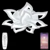 Потолочная люстра Natali Kovaltseva Olimp LED LAMPS 81224 LED LAMPS 81224 - 1