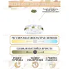 Подвесная люстра Natali Kovaltseva Royalton LED LAMPS 81220 LED LAMPS 81220 - 2