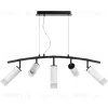 Подвесной светильник Lightstar Rullo LR7353628631 (571735+214436-2+214486-3+202431-5) LR7353628631 - 2