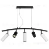 Подвесной светильник Lightstar Rullo LR735372863 (571735+214437-2+214486-3) LR735372863 - 2