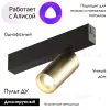 Трековый светильник Denkirs Smart DK8010-BG DK8010-BG - 2