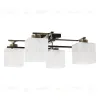 Потолочная люстра MyFar Bona MR1590-4C MR1590-4C - 5