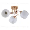 Потолочная люстра Escada Anemone 1121/3PL 1121/3PL - 3