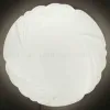 Настенно-потолочный светильник Apeyron 18-026 18-026 - 2