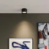 Накладной светильник Elektrostandard Banti 4690389196768 25123/LED a063929 4690389196768 - 4
