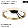 Потолочная люстра Lightstar Rotonda 736041 736041 - 2
