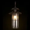 Уличный настенный светильник Loft IT Palermo 100015W 100015W - 4