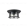 Уличный потолочный светильник Feiss Merrill FE-MERRILL-F-BLK FE-MERRILL-F-BLK - 1