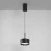 Подвесной светильник Maytoni Glare P102PL-12W4K-B P102PL-12W4K-B - 3