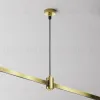 Подвес тросовый с вводом питания Maytoni Flarity TRA157SW-B1-BS TRA157SW-B1-BS - 2
