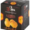 Инфракрасная лампа Эра FITO-200W-НQ Б0059885 Б0059885 - 9