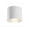Накладной светильник Maytoni Lens C217CL-15W3K-W C217CL-15W3K-W - 1