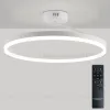 Потолочная люстра Natali Kovaltseva Finam LED LAMPS 81121/1C LED LAMPS 81121/1C - 2