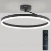 Потолочная люстра Natali Kovaltseva Finam LED LAMPS 81121/2C LED LAMPS 81121/2C - 2