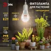 Фитолампа для растений Эра ФИТО A65-20W-PFR-E27-GR Б0068577 Б0068577 - 3